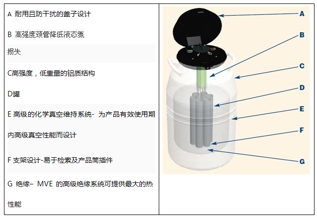 美国MVE/液氮罐/SC36/32SC36/32