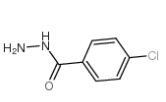 cas536-40-3|4-氯苯甲酰肼