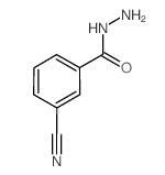 cas19731-01-2|3-氰基苯并酰肼