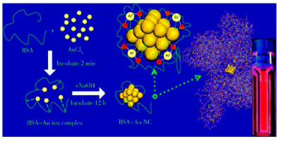 几种荧光金属纳米簇 (Metal nhaioclusters)的合成介绍（金Au/银Ag/铜Cu）