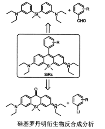 氨基、羧基修饰的硅基罗丹明近红外荧光分子探针