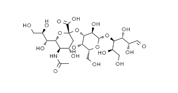 FITC标记唾液基乳糖；用FITC荧光标记壳聚糖纳米粒与N-乳糖酰壳聚糖纳米粒