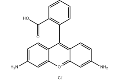 罗丹明-d-lys, 罗丹明标记肽  Rhodamine labeled peptide