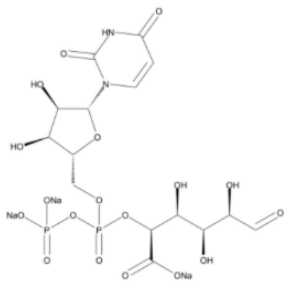 cas63700-19-6|UDP-葡萄醛酸三钠盐|UDP-glucuronic acid trisodium