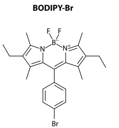 BODIPY-Br，一种氟硼二吡咯(BODIPY)荧光染料