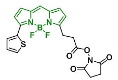 BDP 558/568 NHS ester，CAS：150173-73-2 BDP 558/568-琥珀酰亚胺酯 bodipy荧光染料波长介绍