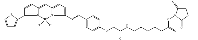 BDP 630/650 X NHS ester，cas2213445-35-1; 380367-48-6; bodipy荧光染料波长