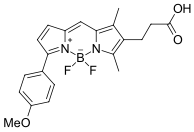 BDP TMR carboxylic acid，cas:287384-28-5，一种BODIPY类氟化硼二吡咯类荧光染料的应用介绍