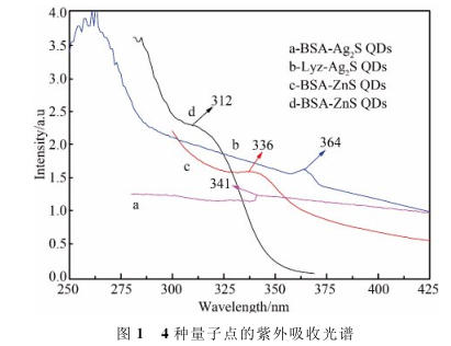 溶菌酶包裹Ag2S量子点(Lyz-Ag2SQDs)|牛血清白蛋白包裹ZnS量子点(BSA-ZnSQDs)|巯基丙酸包裹ZnS量子点(MPA-ZnSQDs)|牛血清白蛋白包裹Ag2S量子点(BSA-Ag2SQDs)四种不同水溶性量子点介绍