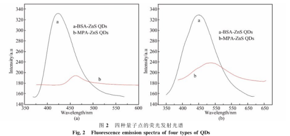 溶菌酶包裹Ag2S量子点(Lyz-Ag2SQDs)|牛血清白蛋白包裹ZnS量子点(BSA-ZnSQDs)|巯基丙酸包裹ZnS量子点(MPA-ZnSQDs)|牛血清白蛋白包裹Ag2S量子点(BSA-Ag2SQDs)四种不同水溶性量子点介绍