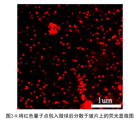 聚苯乙烯修饰CdSe/ZnS荧光量子点具有高荧光强度|供应