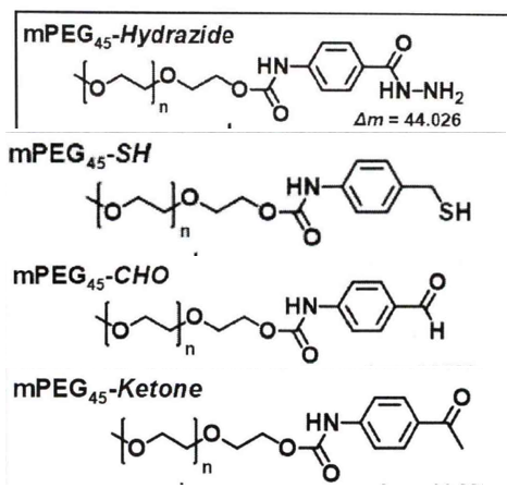 mPEG45-CHO；mPEG45-Ketone；​mPEG4-Hydrazide；mPEG5-SH小分子PEG链接剂供应商