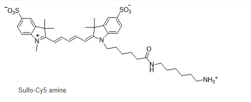 CAS号:2183440-44-8|水溶CY5-NH2|Sulfo Cy5 amine|磺化Cy5-伯胺|Sulfo Cy5 NH2