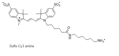 CAS:2183440-43-7|Sulfo CY3-NH2|Sulfo Cy3 amine|磺化Cy3-伯胺|Sulfo-Cyhaiine3 amine荧光染料