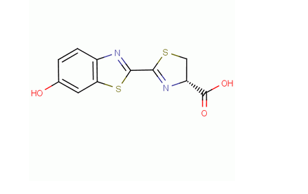 FDGlcU|Fluorescein di-beta-D-glucuronide|荧光素-二-β-D-葡糖醛酸苷的应用