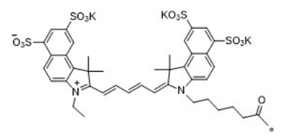 水溶性CY5.5 | 磺化Cy5.5 | sulfo-Cy5.5荧光染料 用来标记分子