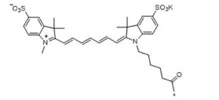 水溶性CY7 | 磺化Cy7 | sulfo-Cy7 荧光染料的结构式