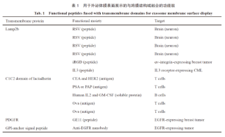 外泌体与靶向治疗载体技术