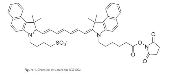 ​ICG-OSu cas:1622335-40-3 马来酰亚胺修饰近红外染料