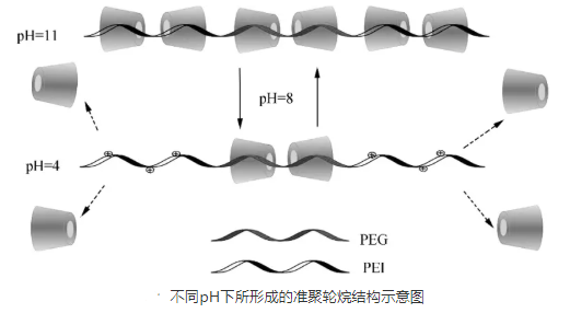 环糊精(准)聚轮烷的七种形态介绍(线型/星型/嵌段共聚物/pH敏感)