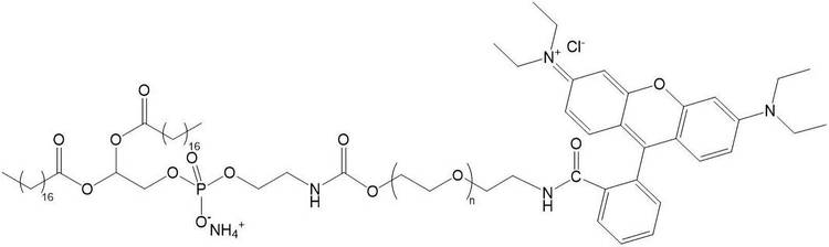 DSPE-PEG2000-RB,磷脂聚乙二醇2000罗丹明B,分子量：400、600、1000、2000、3400、5000、10000