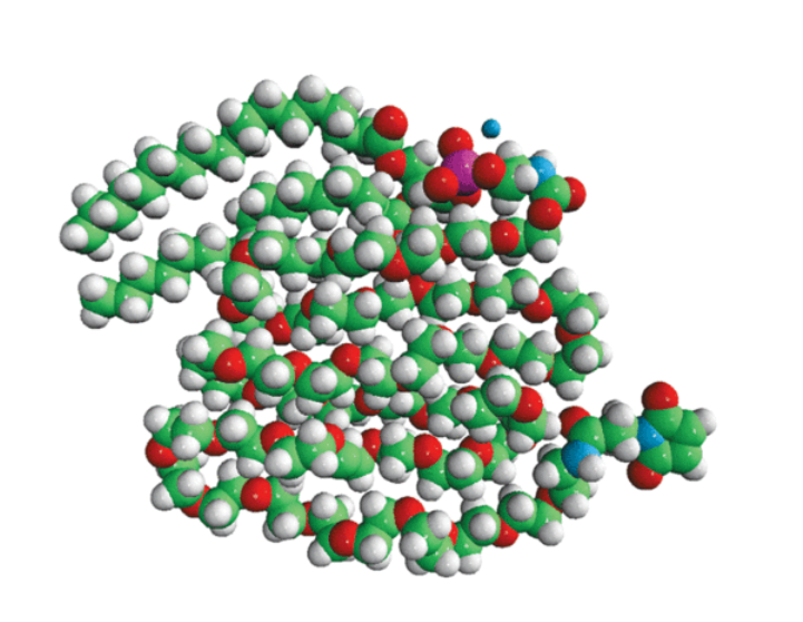 DSPE -PEG2000-RB，二硬脂酰基磷脂酰乙醇胺，分子量: 748.065  分子式: C41H82NO8P