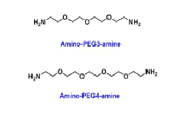 什么是单分散短链小分子聚乙二醇PEG Linker