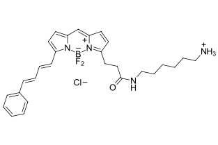 BDP 581/591 amine，cas:2183472-97-9，氨基修饰bodipy荧光染料激发波长