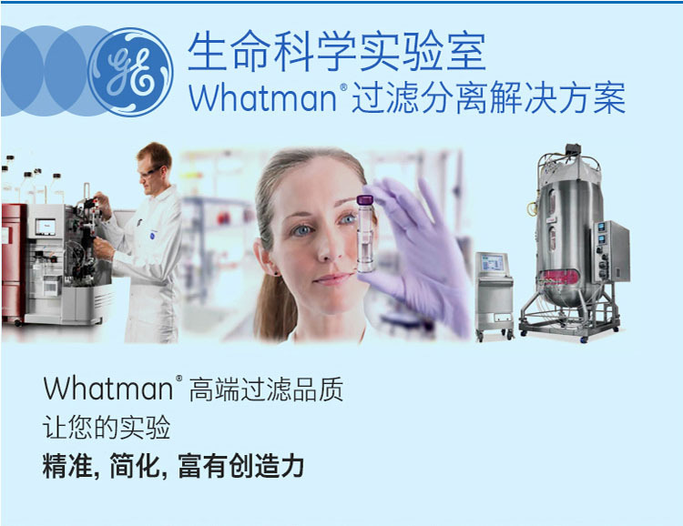 110615-GE Whatman 沃特曼25mm直径10微米孔径 Nuclepore径迹蚀刻膜