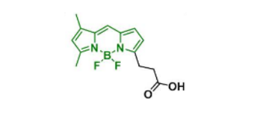 BDP FL acid，165599-63-3