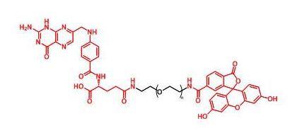 荧光素聚乙二醇叶酸 FITC-PEG-FA