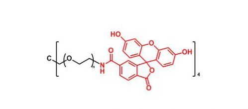 四臂聚乙二醇荧光素 4ARM-PEG-FITC
