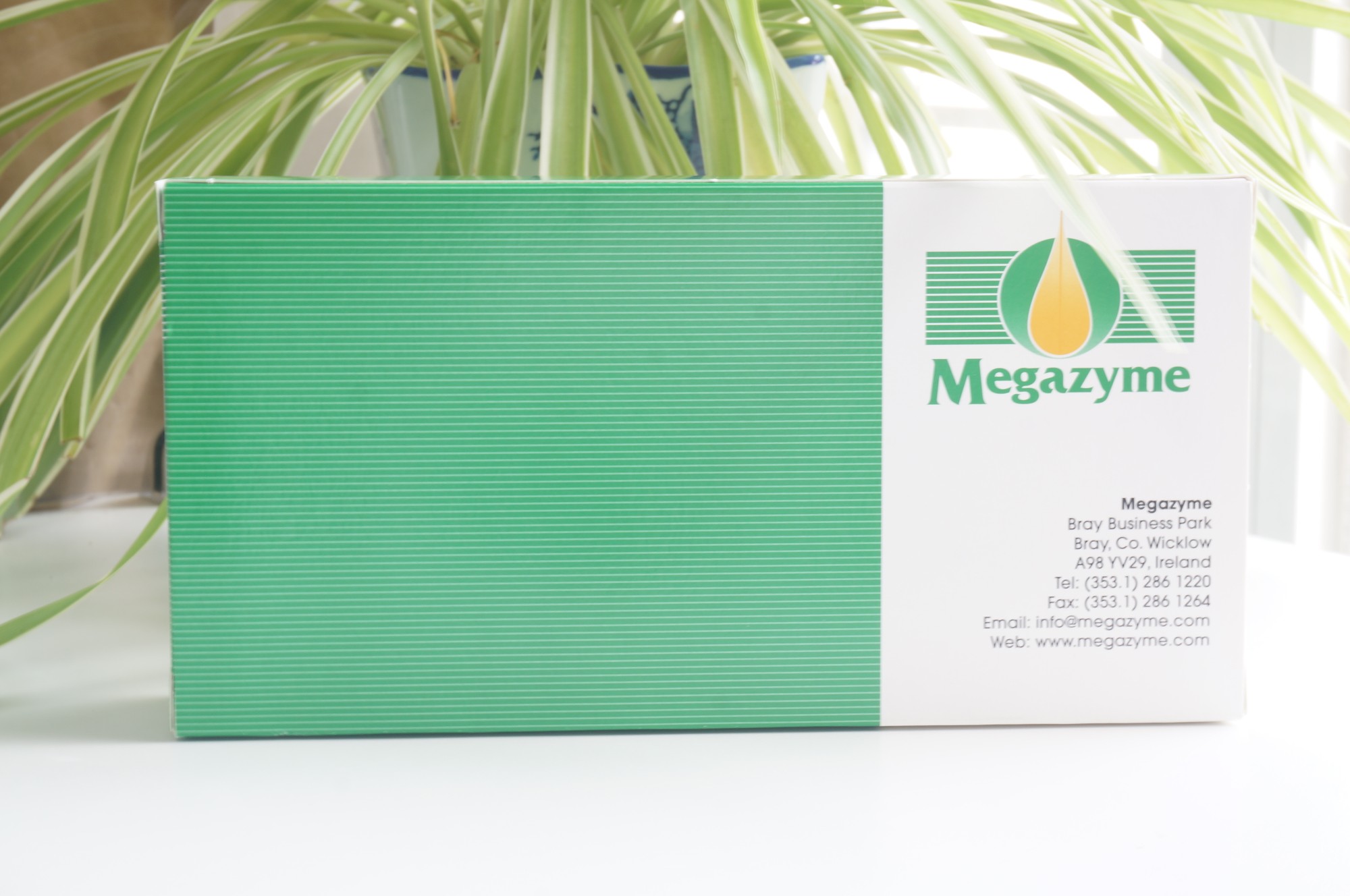爱尔兰Megazyme乳果糖检测试剂盒