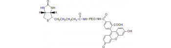 Fluorescein PEG Biotin, FITC-PEG-Biotin           Cat. No. PG2-BNFC-1k     1000 Da    25 mg