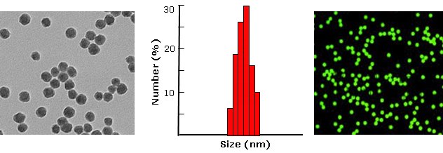 Silica nanoparticles, azide function           Cat. No. Si500-AZ-1     500 nm    0.5 mL