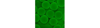 Green fluorescent silica particles, amine function           Cat. No. Si5u-AMFC-1     5 um    0.5 mL