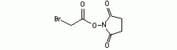 Succinimidyl bromoacetate (SBA)           Cat. No. SBA01         25 mg