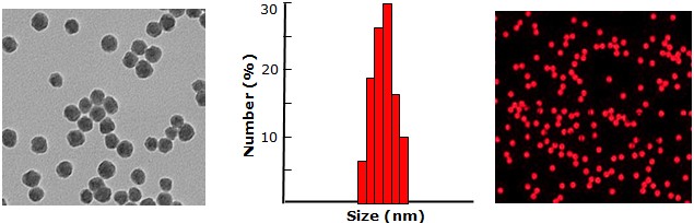 Red colored silica beads           Cat. No. Si50u-R-1     50 um    1 mL