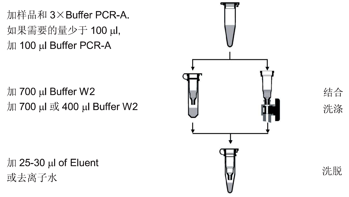 UE PCR清洁试剂盒 货号:               UE-PCR-50/UE-PCR-250/UE-PCR-500  规格:               50T/250T/500T