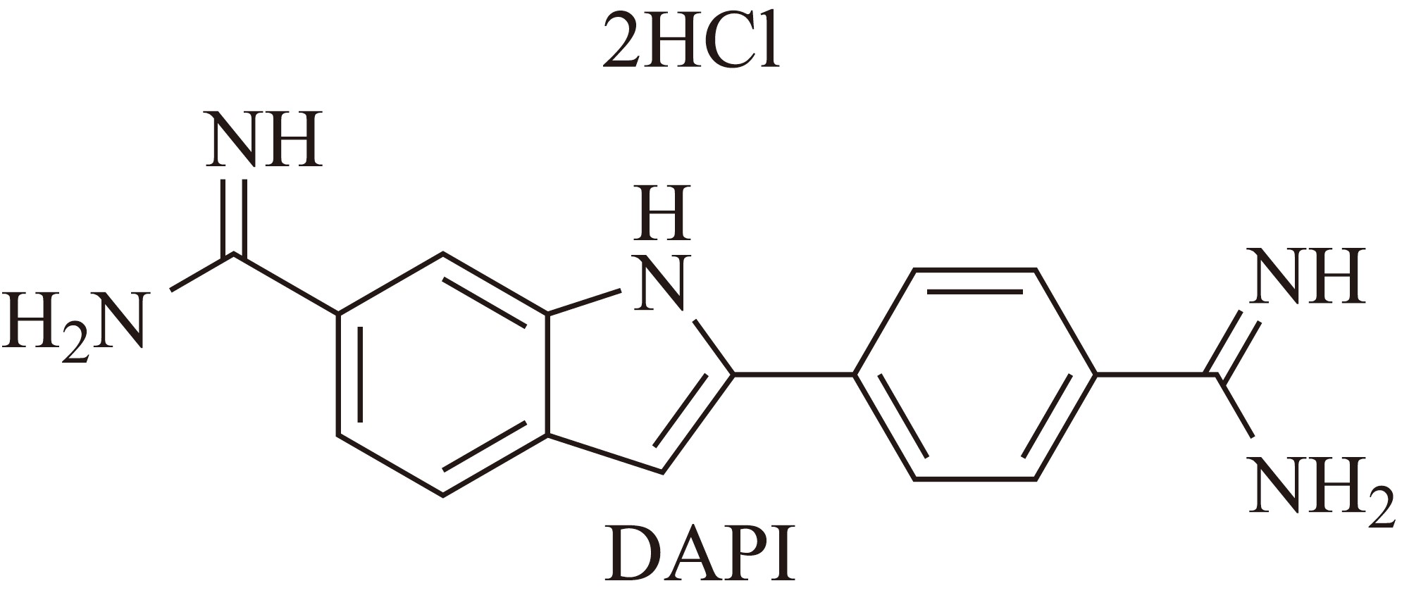 DAPI（4