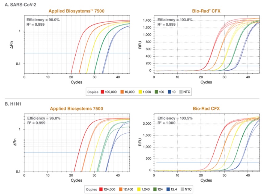 Luna® 探针一步法 RT-qPCR 4X 预混液（含 UDG）            货   号                  #M3019E