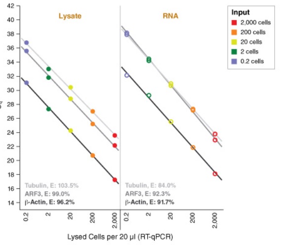 Luna® Cell Ready 探针一步法 RT-qPCR 试剂盒            货   号                  #E3031S